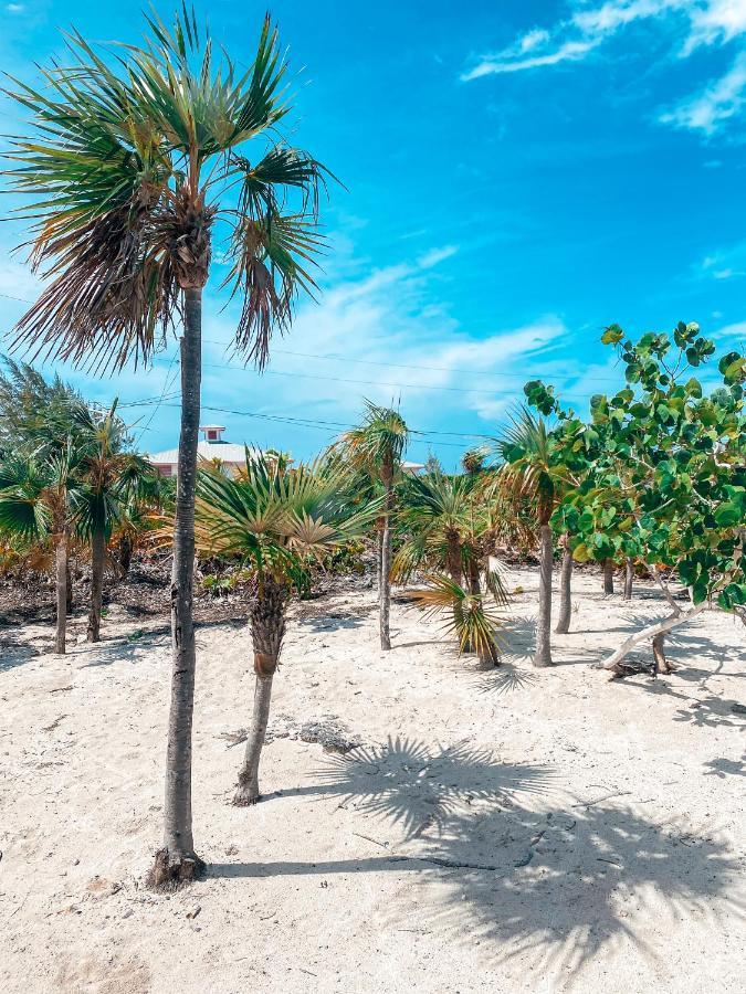 Tropical View Villas Hartswell Exteriör bild
